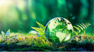 indoor air quality home environment wellness