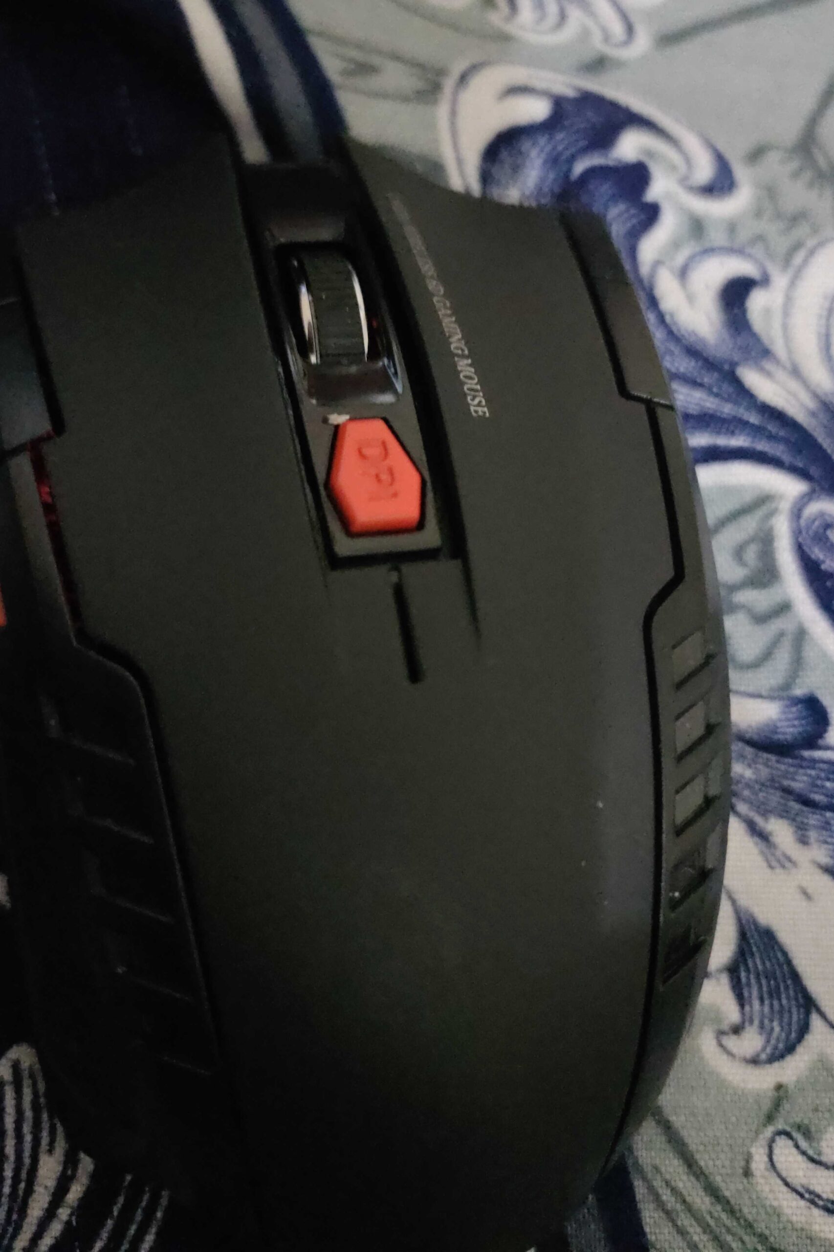 Mouse
