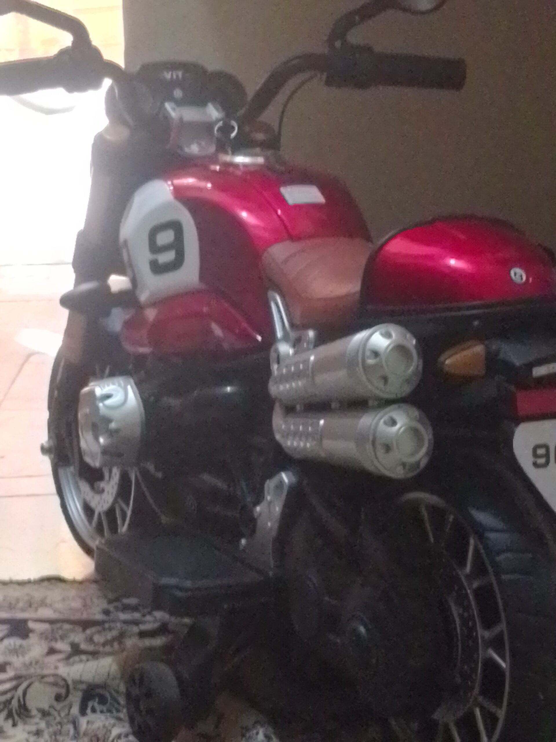 OFFER FOR ANYONE 50%OF