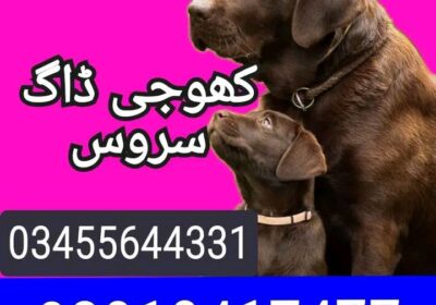 c5a79137-183c-4e30-a966-ab06108211a5