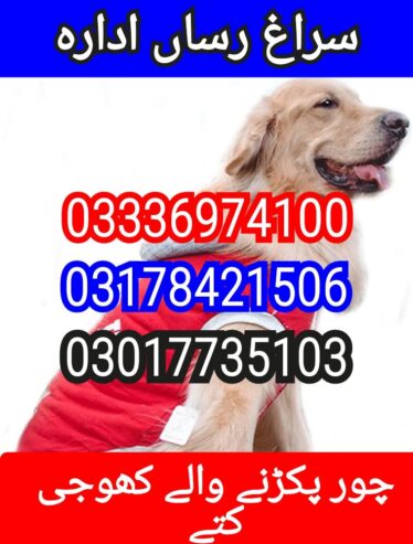 army dog center balochistan 0333697400