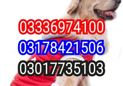 d6f83f4b-f6c9-438f-9cfe-21d567087d99