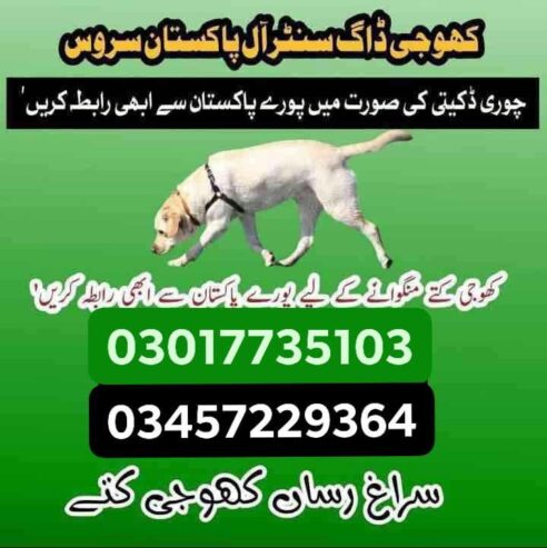 Army dog center kashmir 03017735103