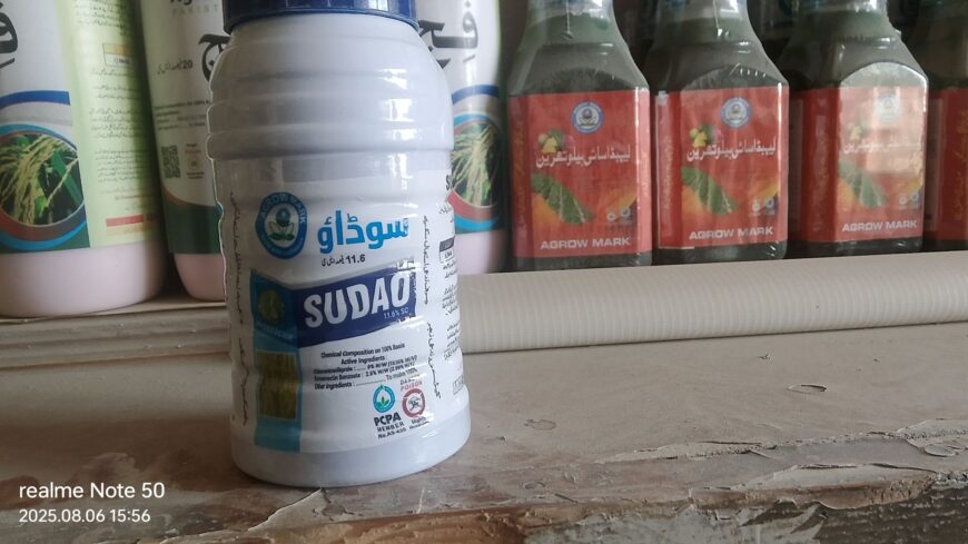 Sudao