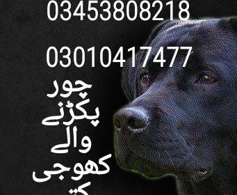 5665a965-460e-4642-831a-93098f4e44dd