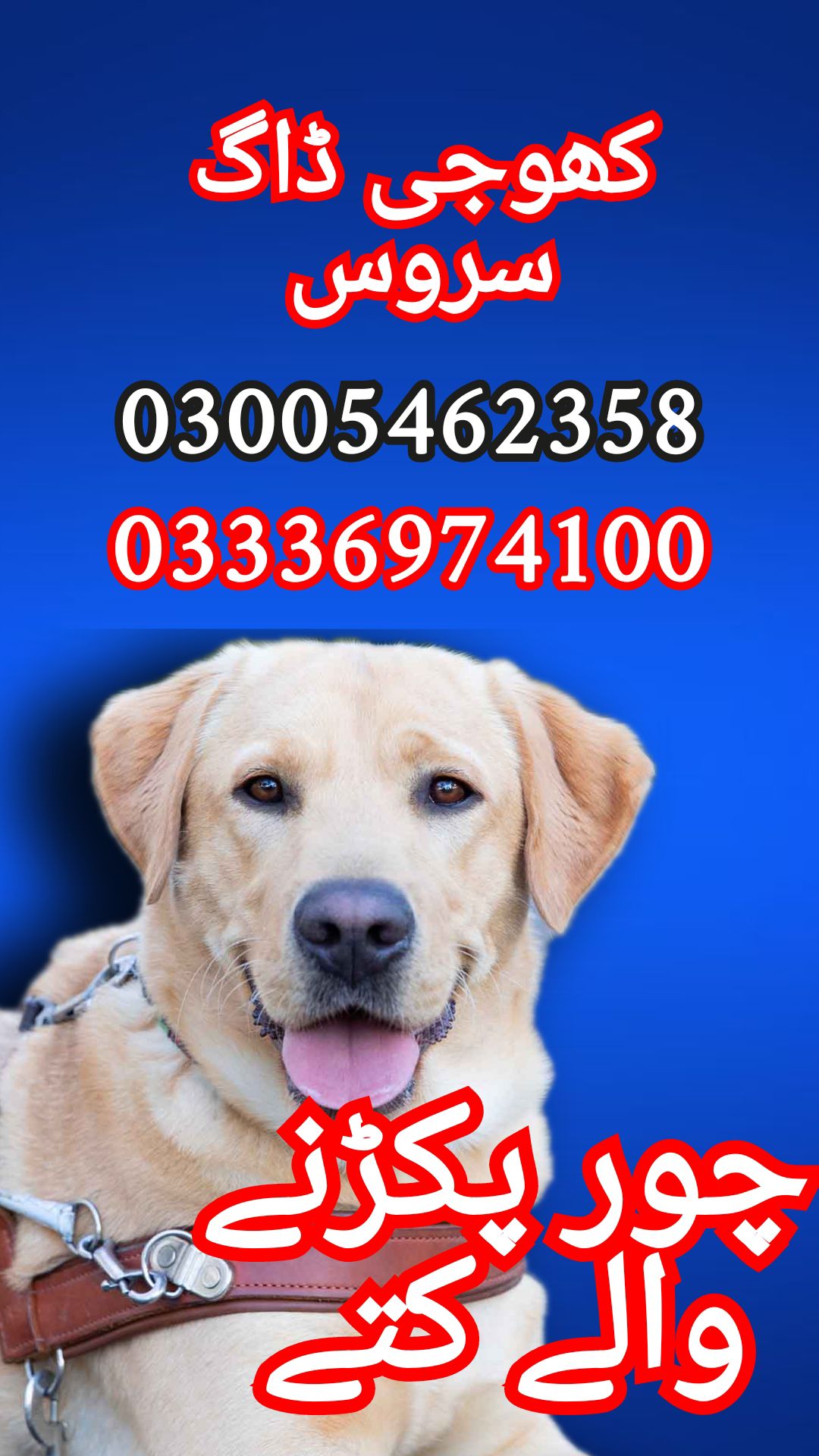 Army dog center 03005462358_03336974100