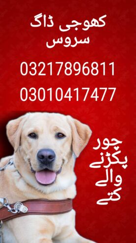 Army dog center 03453808218_03010417477