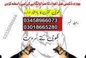 Army dog center Attock 03005373788