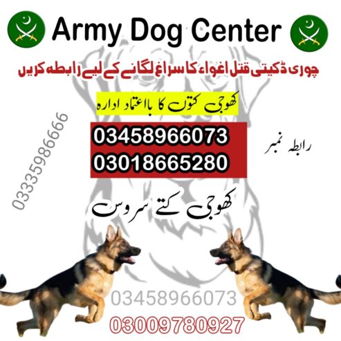 Army dog center Chakwal 03005373788