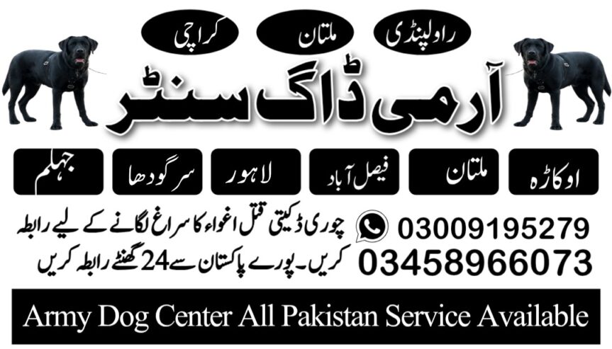 Army dog center Chakwal 03005373788