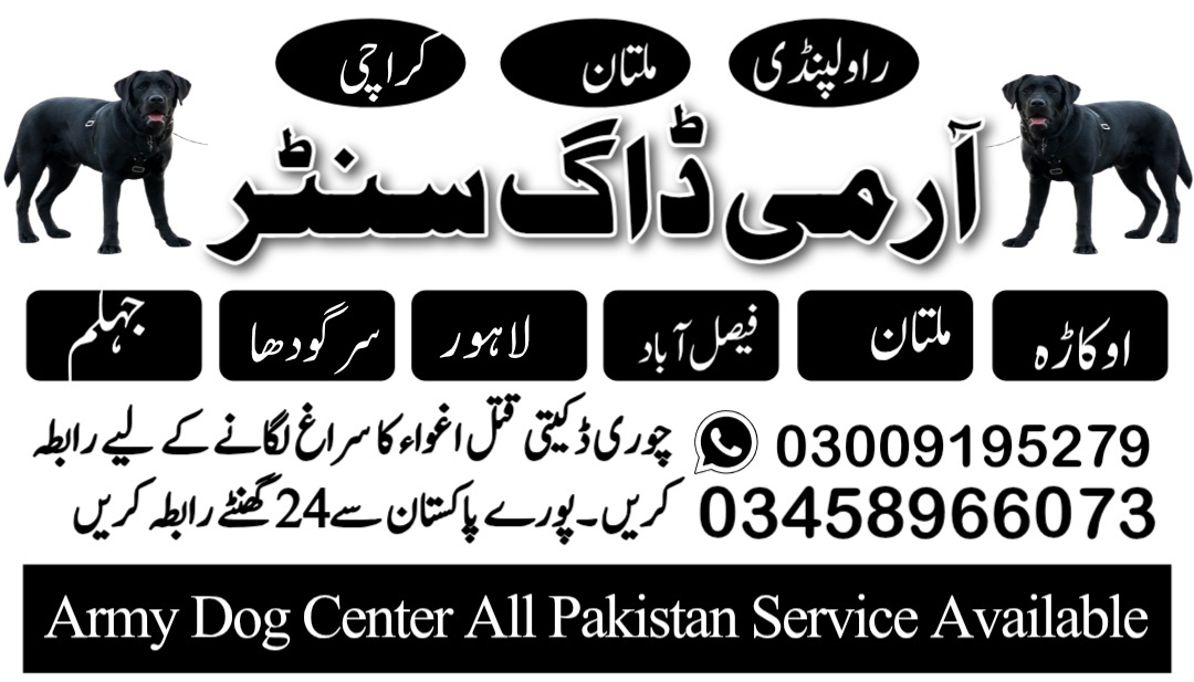 Army dog center Attock 03005373788