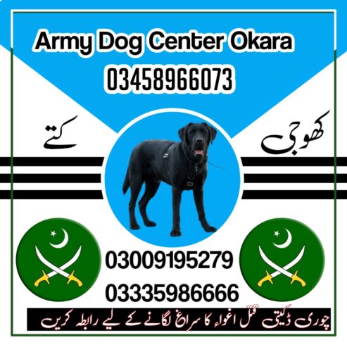 Army Dog Center Okara 03009195279