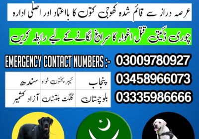 square-1-1-1736625569463