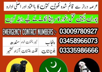 square-1-1-1736953509788-1