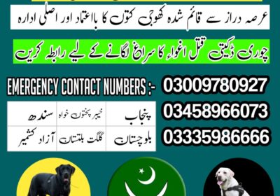 square-1-1-1738598339044