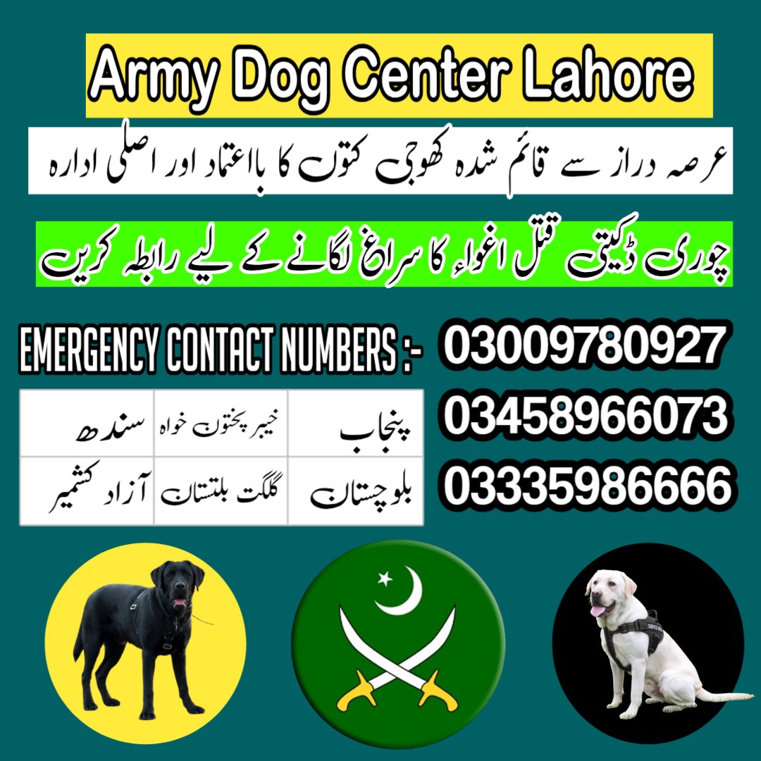 Army Dog Center Multan 03009195279 Khoji dogs
