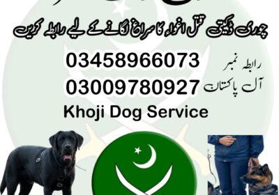 square-1-1-1738685097491-1