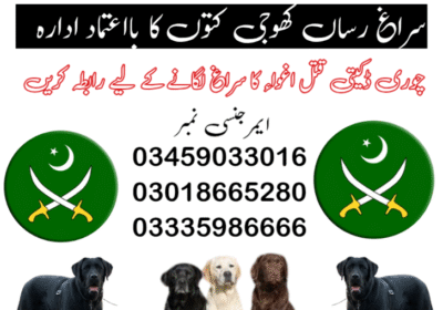 square-1-1-1740647186580